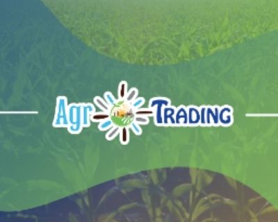 Trading Constrói Lda