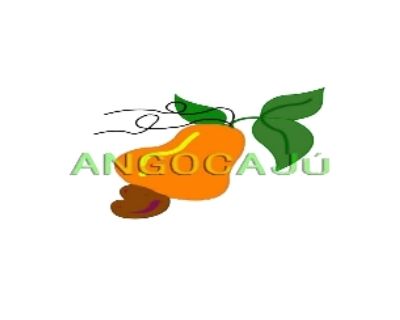 Angocajú